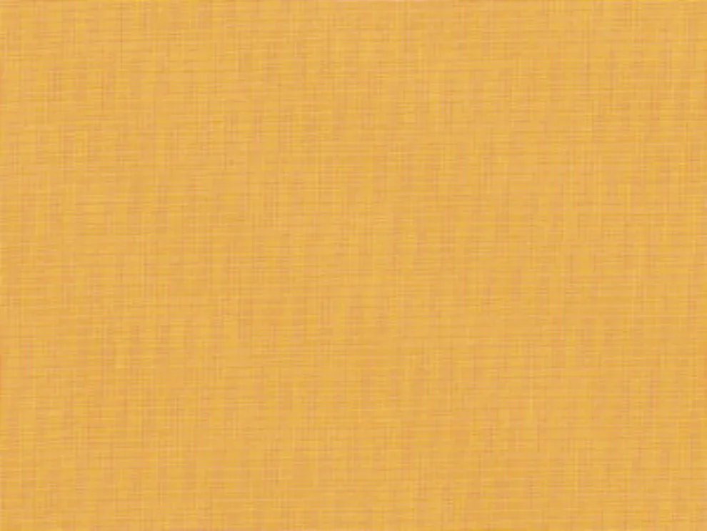 00100.png